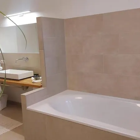 アパート Freiraum